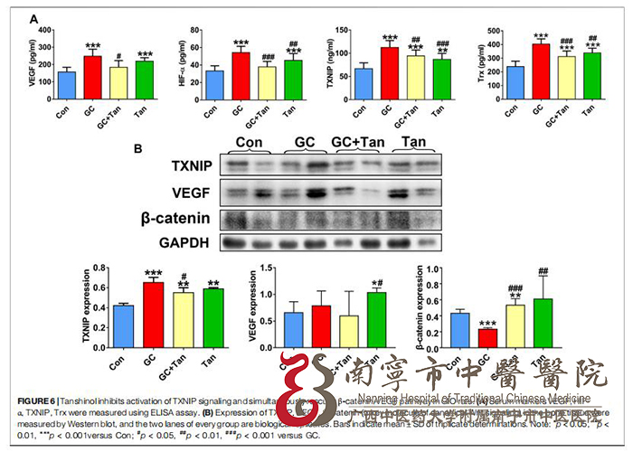 研究表明丹参素抑制GIO大鼠骨组织中TXNIP的表达.jpg